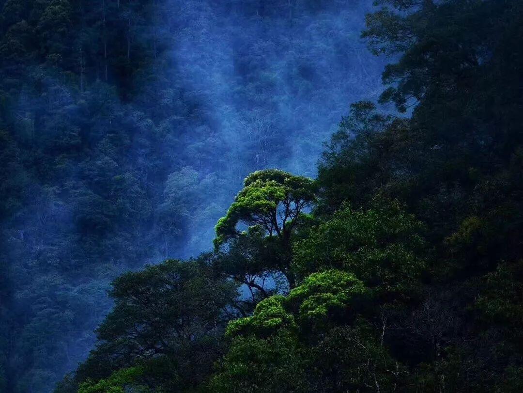 雷竞技比分